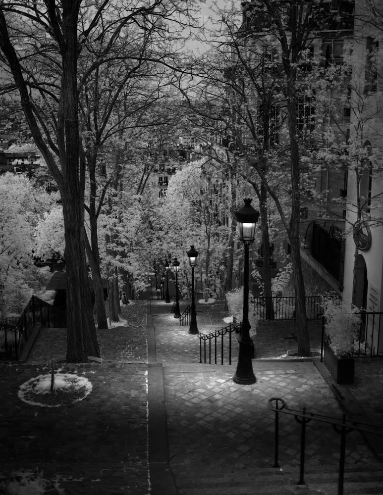 Les Escaliers de Montmartre