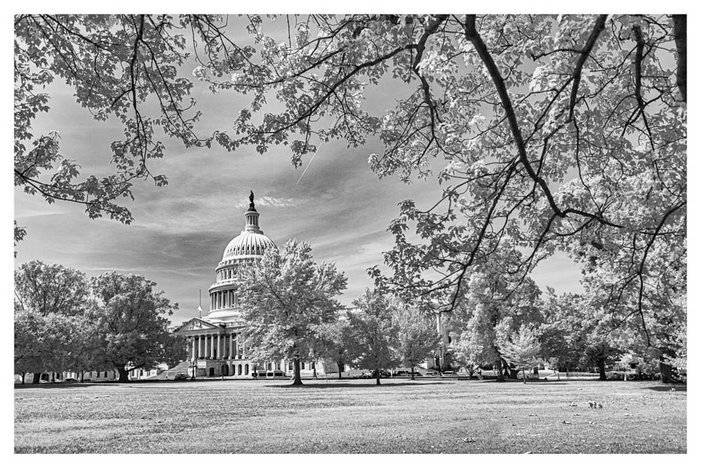 Capitol Lawn