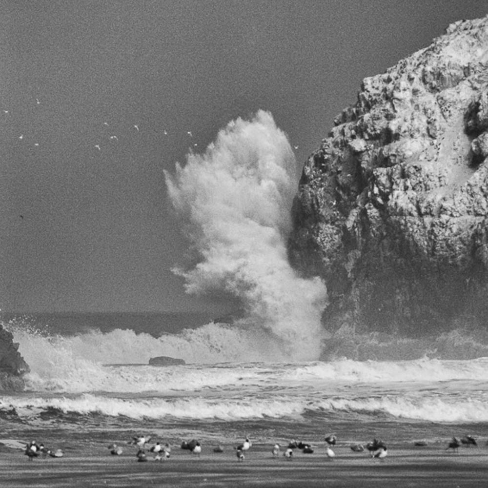 Wave, Totoritas, IR 830