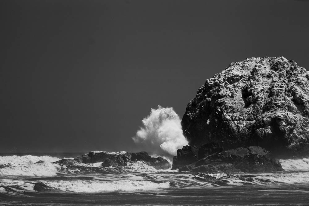 Wave IR 830, Totoritas